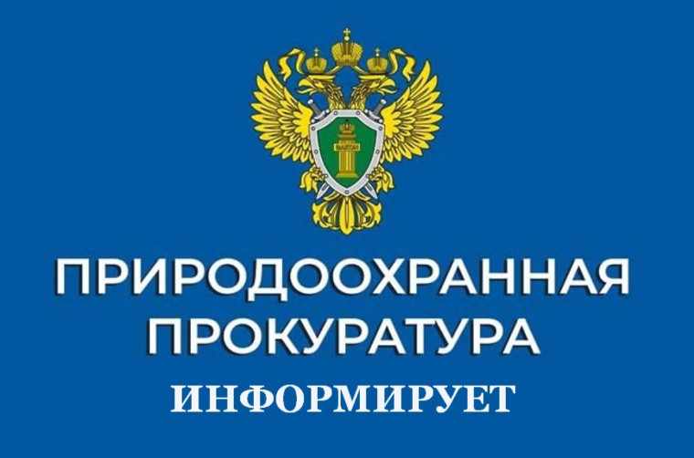 Восточно-Байкальская межрайонная природоохранная прокуратура информирует. Восточно-Байкальская межрайонная природоохранная прокуратура информирует.
