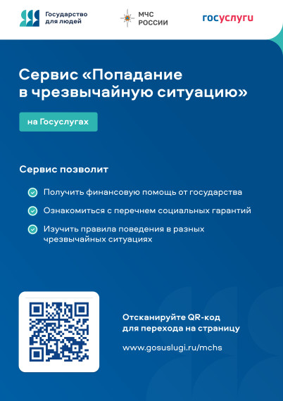 Цифровой сервис "Попадание в чрезвычайную ситуацию". Цифровой сервис "Попадание в чрезвычайную ситуацию".
